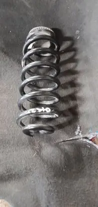 Rear coil spring