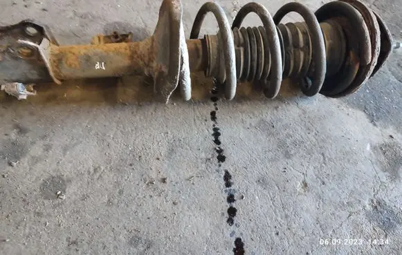 Suzuki Grand Vitara II Front shock absorber with coil spring