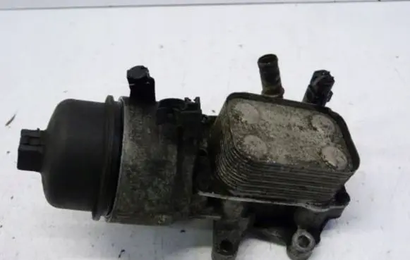 Peugeot 407 Oil filter mounting bracket 965630180