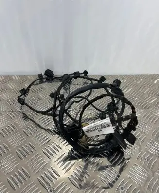 Audi Q5 SQ5 Parking sensor (PDC) wiring loom 8R0971104CG
