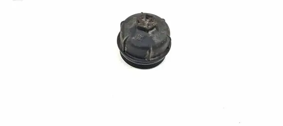 Fiat 500X Oil filter cover 