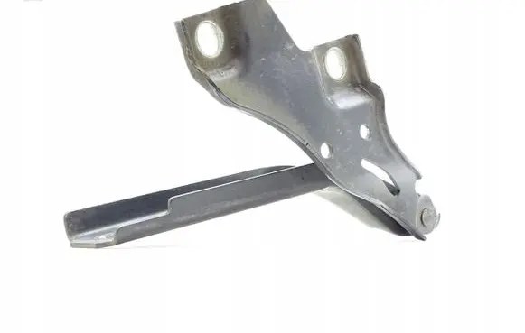Volkswagen PASSAT B8 Engine bonnet/hood hinges 3G0823301