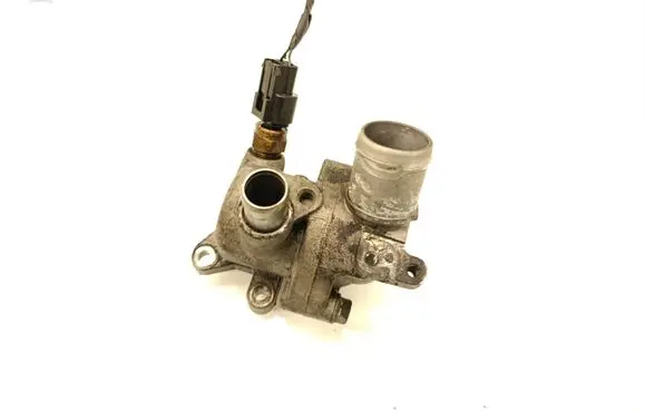 Thermostat/thermostat housing