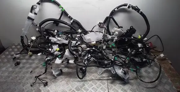 Toyota RAV 4 (XA50) Other wiring loom 821614A161 8216242W52