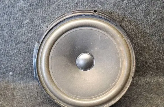 Volkswagen Touareg II Front door speaker 7P6035454