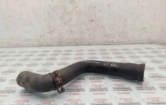 Volkswagen Sharan Engine coolant pipe/hose