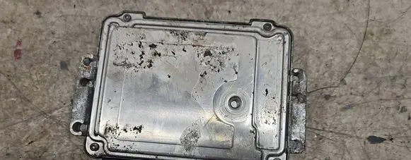 Nissan Primera Engine control unit/module 0281011645 8200514141 8200391966