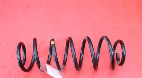 Skoda Fabia Mk3 (NJ) Rear coil spring