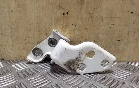 Fiat Ducato Front door lower hinge 