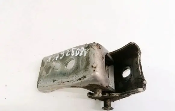 Citroen C3 Rear door lower hinge