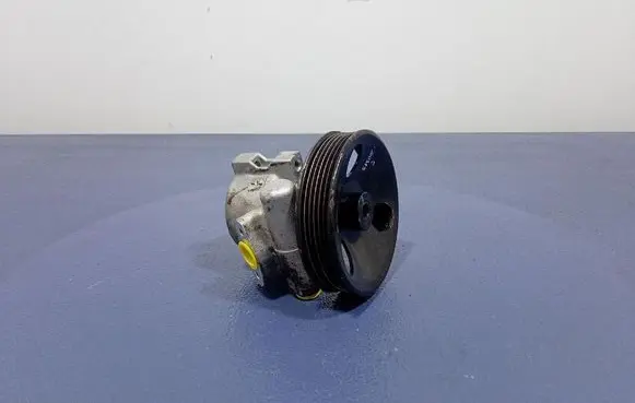 Chevrolet Epica Power steering pump 