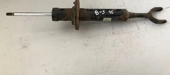 Volkswagen PASSAT B5 Front shock absorber/damper 19119939