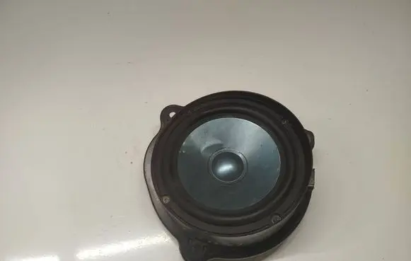 Mercedes-Benz CLS C219 Rear door speaker A2198200202