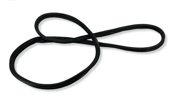 Mercedes-Benz GLE (W166 - C292) Front door rubber seal A1666970051