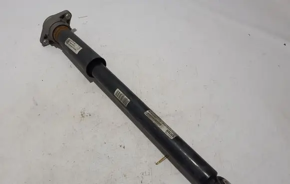 Porsche Panamera (971) Rear shock absorber/damper 971513035C