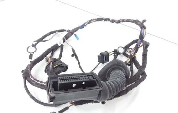 Rear door wiring loom