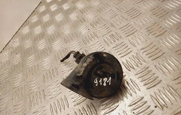 Volkswagen PASSAT B6 Horn signal E1000209