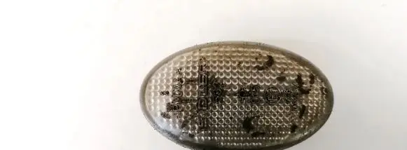 Front fender indicator light