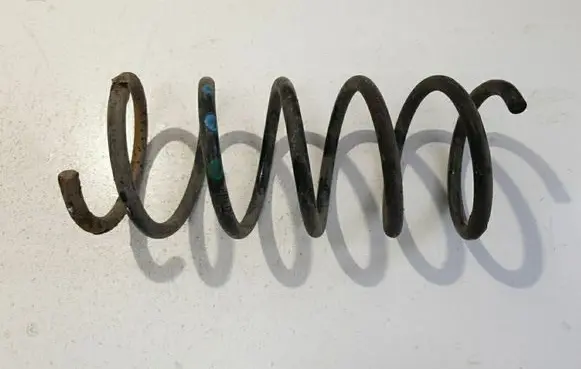 Rear coil spring