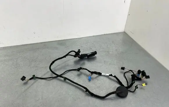 Seat Leon (5F) Front door wiring loom 5F4971029BE