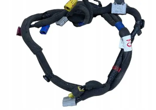 Hyundai Sonata DN8 Other wiring loom 96220B1500