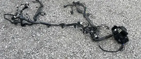 Hyundai Genesis Wiring harness 91202B1652