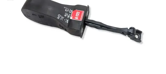 Volkswagen PASSAT B8 Rear door check strap stopper 3G5839249A