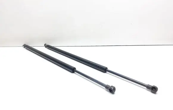 BMW X5 E53 Tailgate/trunk strut/damper