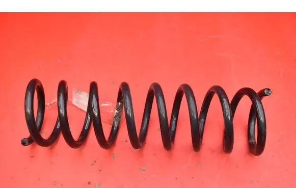 Rear coil spring