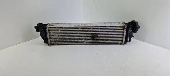 Volvo S90, V90 Intercooler radiator 31338306