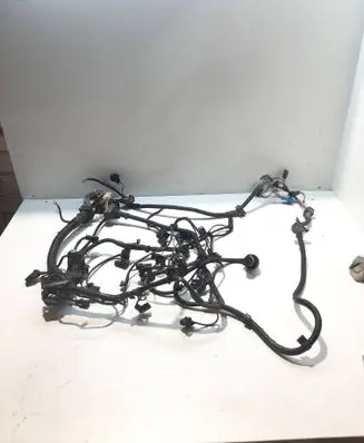 Engine installation wiring loom