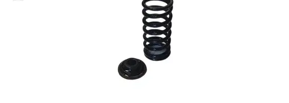 BMW X3 E83 Valve spring NOCODE