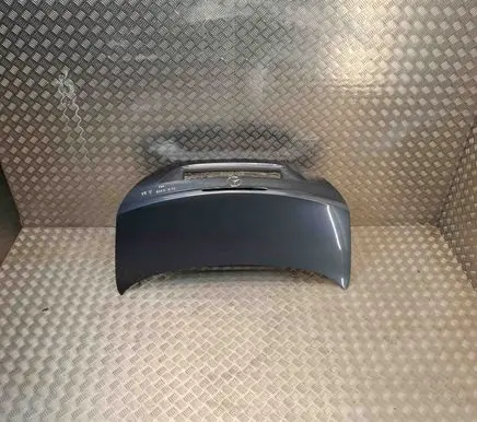 Tailgate/trunk/boot lid