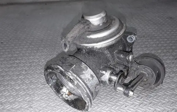 Volkswagen Sharan EGR valve 038131501J
