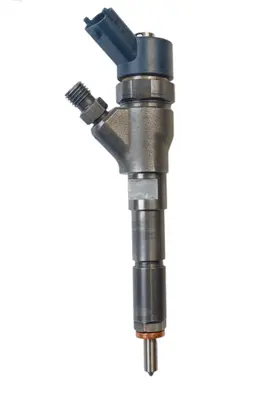 Citroen Jumper Fuel injector 0445110076 0986435077