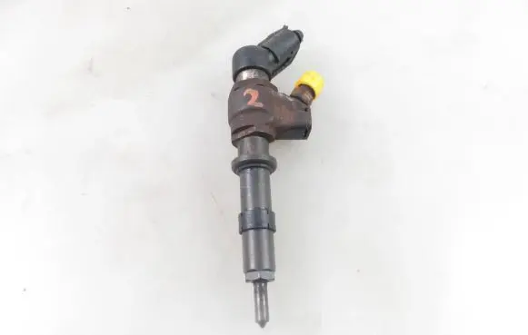 Peugeot Partner Fuel injector 9662173780