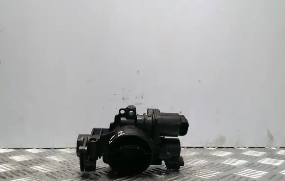 Citroen C2 Throttle valve BJ0013392