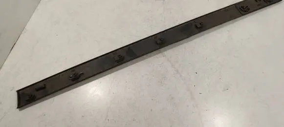 Renault Megane II Front door trim (molding) 8200073471