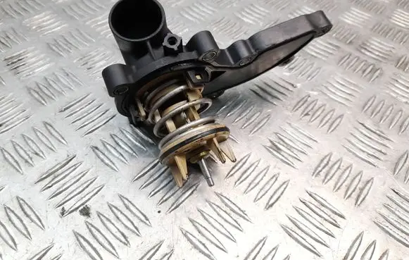 Thermostat/thermostat housing