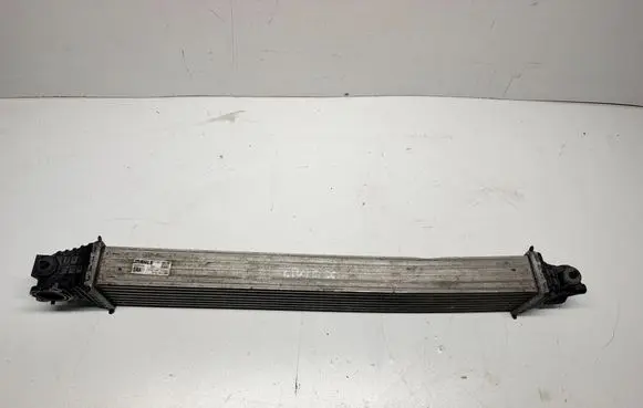 Hyundai Tucson IV NX4 Optional radiator
