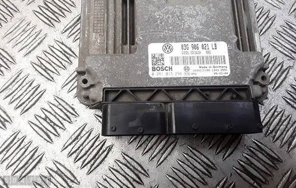 Skoda Octavia Mk2 (1Z) Engine control unit/module 03g906021lb 0281013238