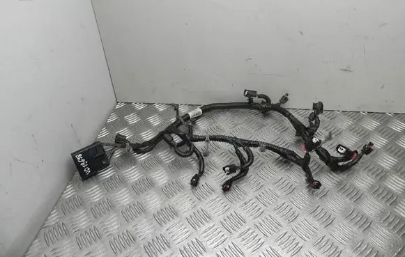 Engine installation wiring loom
