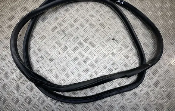 Ford F150 Front door rubber seal 