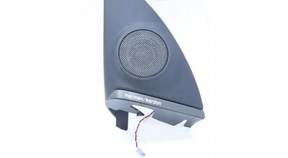 Front door high frequency speaker