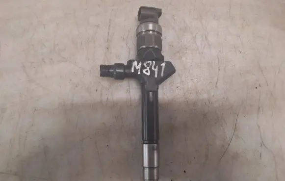 Nissan Almera Tino Fuel injector RF7J13H50 578006J18016