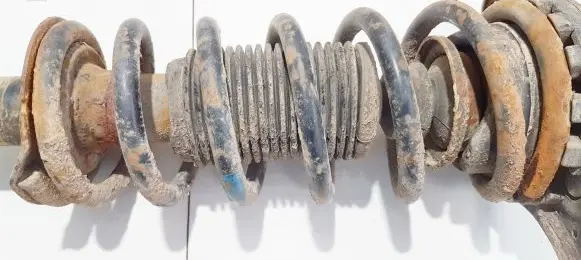 Nissan Primera Rear coil spring