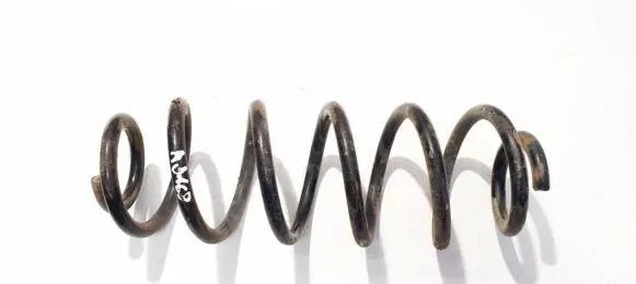 Volkswagen Golf VI Rear coil spring