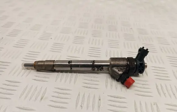 Citroen C3 Aircross Fuel injector 0445110955 9828959880