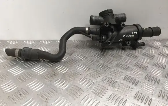 Thermostat/thermostat housing