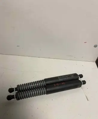 Tailgate/trunk strut/damper